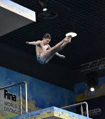 Wu will line up for her fourth olympics, while rio bronze medalist smith will compete in her third games and qin at her second. Diving Australia Searching For Next Olympic Greats With Free Testing Day At Sleeman Sports Complex Redland City Bulletin Cleveland Qld