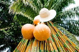Image result for igbo traditional wedding decoration
