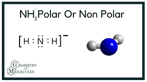 Although carl wilhelm scheele and henry cavendish had independently done so at about the same time, rutherford is generally accorded the credit because his work was published first. Chemical Formula Of Nitrogen Gas Chemical Info