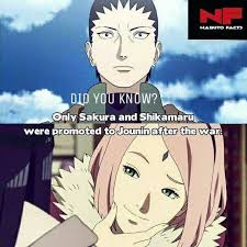 Sakura Shikamaru And Also Rock Lee Became Jonin After The War Naruto Facts Naruto Shippuden Anime Naruto Sasuke Sakura