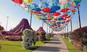 Those driving to dubai miracle garden can avail open car parking services which can accommodate up to 2000 cars. Dubai Miracle Garden 2020 2021 Opening Date And Timings Coming Soon In Uae