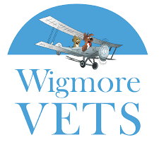 Wigmore Veterinary Centre