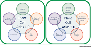 Check spelling or type a new query. Towards Building A Plant Cell Atlas Trends In Plant Science