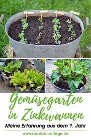 Gemusegarten In Zinkwannen Meine Erfahrung Aus Dem Ersten Jahr Www Seaside Cottage De Gemus Gartnern Auf Kleinem Raum Gartenarbeit Fur Anfanger Topfgarten
