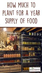 How Much To Plant For A Year S Worth Of Food Per Person Amounts Homesteading Food Garden Square Foot Gardening