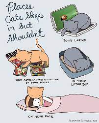 Pin On Animals
