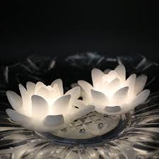 Led floating swimming pool sphere light 50cm. Floating Lotus Lights Shop Floating Lotus Lights Online