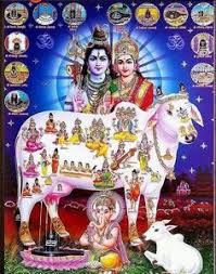 An outlook to publicity images. 160 Lord Gomatha Ideas In 2021 Hindu Gods Hindu Deities Indian Gods