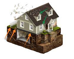 Soldier termites are physically and sexually immature males and females whose primary function is colony defense. Termite Treatment Control Home Protection Terminix