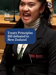 Months after a viral haka was performed in New Zealand parliament, the  controversial bill that sparked it has now been defeated. The Treaty  Principles bill sought to redefine the Treaty of Waitangi ...