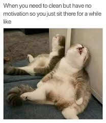 15 Fresh Animal Memes That Will Make Your Day 100 Better Funny Animal Jokes Funny Animal Quotes Animal Jokes