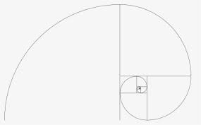 #perfect #face #template #perfectface #beauty #photoshop #structure #facestructure #beautiful #pretty #perfectgirl sticker by skylar. Golden Ratio Png Images Free Transparent Golden Ratio Download Kindpng