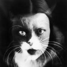 Eve Browne (@evebrowne)