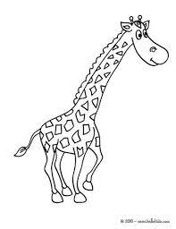 Print Out And Color This Giraffe Picture Coloring Page It Will Be A Nice Pr Fotos De Jirafas Animales Salvajes Para Colorear Paginas Para Colorear De Animales