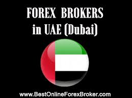 Several local cryptocurrency exchanges offer. Best Forex Brokers In Uae Dubai Top 10 In 2021