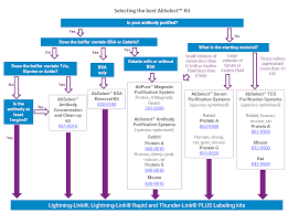 abselect decision making diagram expedeon