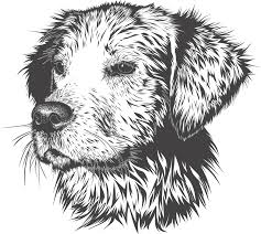 The most common shops near me material is metal. Free Image On Pixabay Dog Animal Domestic Animal In 2020 Dog Vector Animals Dog Images