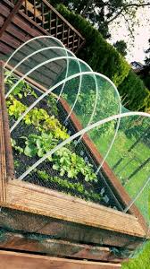 Vogelschutz Am Hochbeet Garten Hochbeet Hochbeet Vogelschutz