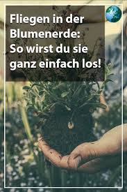 Pin Auf Ab In Den Garten