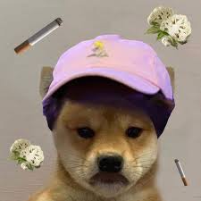 Pin By Sushixzilla On Art Dog Images Doggy Dogs