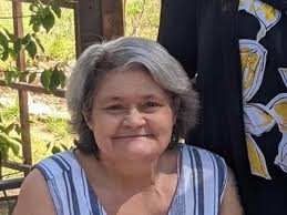 Fundraiser by Marena Bauer : Renee VanOstrand's funeral expenses