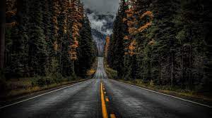 Road Nature Tree Woody Plant Forest Sky Lane Asphalt Wildernes Nature Desktop Wallpaper Desktop Background Nature Computer Wallpaper Desktop Wallpapers
