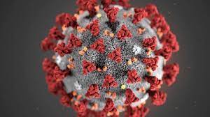 The tasmanian government is working to strengthen tasmania's contact tracing capability for rapid response in the event of a covid‑19 case or outbreak. Drf9ojie3 U82m