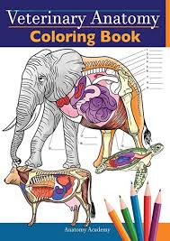 Marieb, published by benjamin cummings which was released on 07 january 2011. Pdf Veterinary Anatomy Coloring Book Animals Physiology Self Quiz Color Workbook For Studying And By Giancarlogilmore Issuu