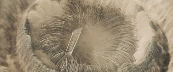 Dune': How the VFX Team Created the Sandworms and Ornithopters | IndieWire