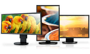 Image result for Computer Display