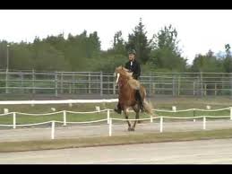 Youpickit verkauft dieses produkt nicht sondern zeigt lediglich preisinformationen zu den händlern deiner umgebung an. Skyr Fra Skalakoti Youtube