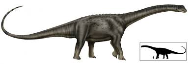 It is known from the maastrichtian (upper cretaceous) lameta formation of india and possibly also the maastrichtian (upper cretaceous) marília formation of argentina. Titanosaurus World S Largest Dinosaur Dodger Media Online