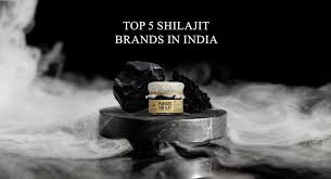 Image result for Shilajit