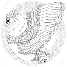 Hand Drawing Artistic Swan For Adult Colouring Pages Bird Vector Royalty Free Cliparts Vectors And Stock Illustration Image 105043286