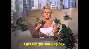 Green acres theme song lyrics. Green Acres Intro Hd With Lyrics Best Version On Youtube Youtube