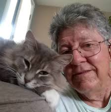 Replacing jabsco head with composting toilet?