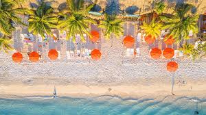 All Roatan Webcams Live – 247 Views of Island Paradise