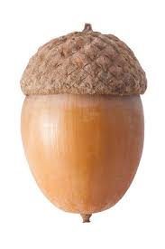 images?q=tbn:ANd9GcQXeVsps3Bzwrh9D7jbTB-