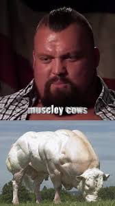 Eddie Hall Finds Out He Has The Hercules Gene #herculesgene #eddiehall  #eddiehallwsm #eddiehallbeast #thebeast #eddiehallbeast #eddiethebeasthall  #eddiehallmeme #wsm #worldstrongestman ...
