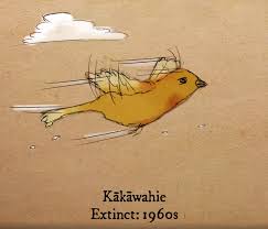 Two hundred years ago red squirrels lived all over britain. 18 Animals That Became Extinct In The Last Century Greenpeace Uk