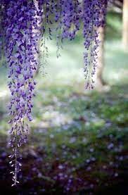 Brendajones58hot Mailcom