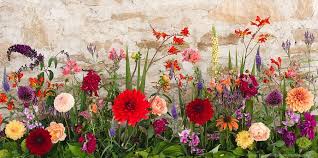 For british flowers week, five top florists created these beautiful bouquets using vibrant native blooms. Pipley Flowers Flower Farm And Florist In Bristol And Bath