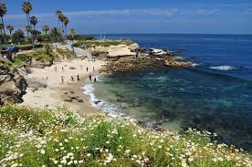 La jolla cove, matlahuayl state marine reserve is a photo by jasmine swope, whose work will be shown in our ocean's edge, an exhibit at the la jolla historical society that depicts. Top Things To Do In La Jolla Lajolla Com