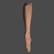 3d Hand Arm Male Pose Male Poses Poses Body Reference
