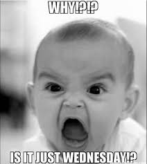 Wednesday is a day that can put people through a lot of different emotions. Hump Day Memes Here Are Some Memes To Make Your Wednesday Lighter