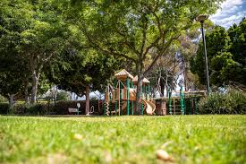 Image result for parque