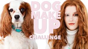 makeup like my dog makeup challenge