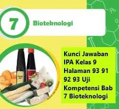 We did not find results for: Kunci Jawaban Ipa Kelas 9 Halaman 90 91 92 93 Uji Kompetensi Bab 7 Bioteknologi Wali Kelas Sd