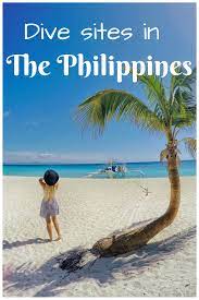 Diving In Apo Island With Bongo Bongo Divers From Ice To Spice Philippines Travel Philippines Travel Guide Asia Travel
