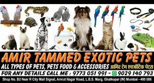 In addition, we supply specialized habitats such as caging, aquariums, lighting, heating, bedding, accessories, as well as feeders, feeding supplies, and foods. Amir Tammed Exotic Pets Home Facebook